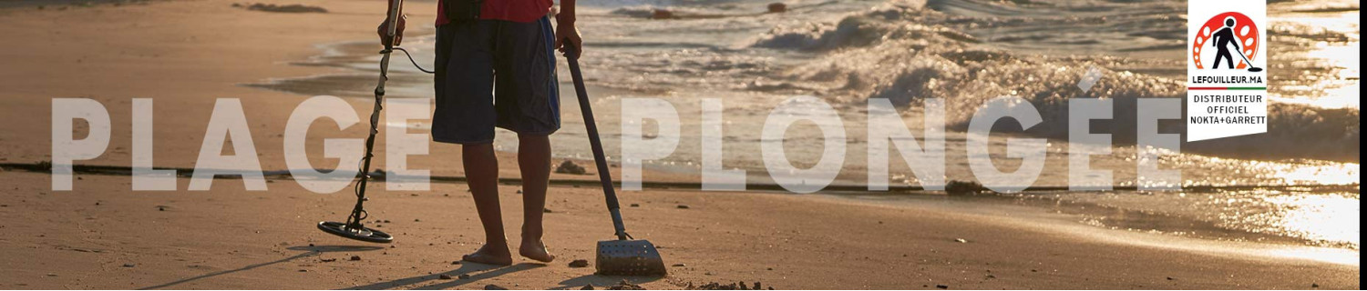 Détecteurs de plage au meilleur prix !