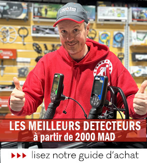 les meilleurs détecteurs