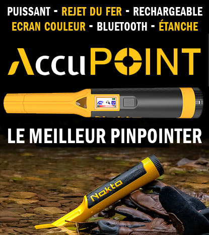 Pinpointer Accupoint de Nokta