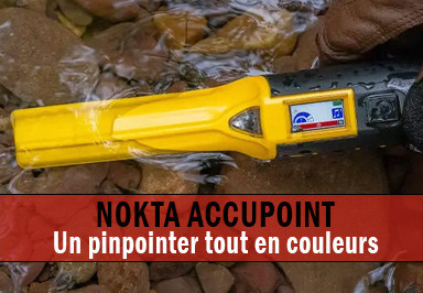 Pinpoiter Accupoint